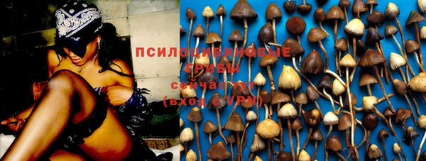 метадон Армянск